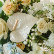 anthurium, stock, spray roses, waxflower, delphinium