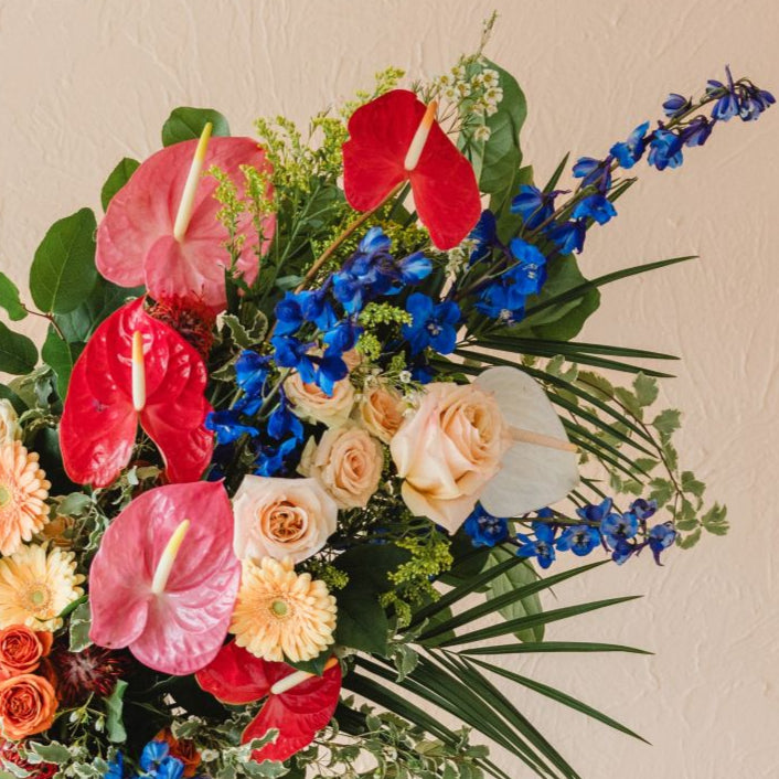 delphinium, anthurium, spray roses, waxflower, gerbera daisies