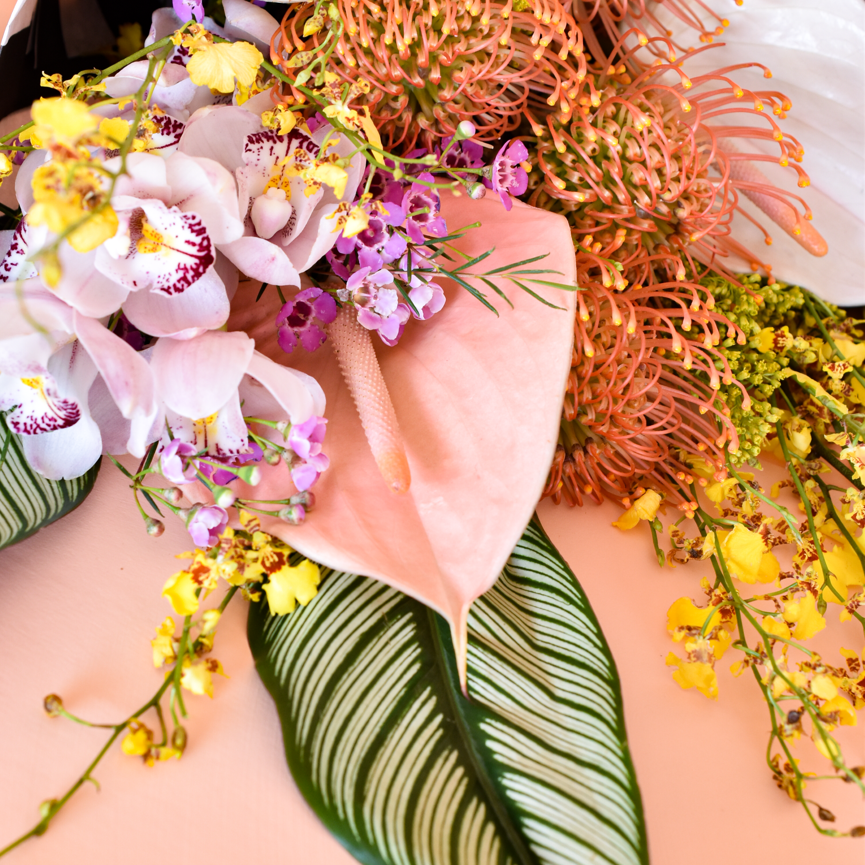 a detailed closeup of tropical stems including two types of orchids