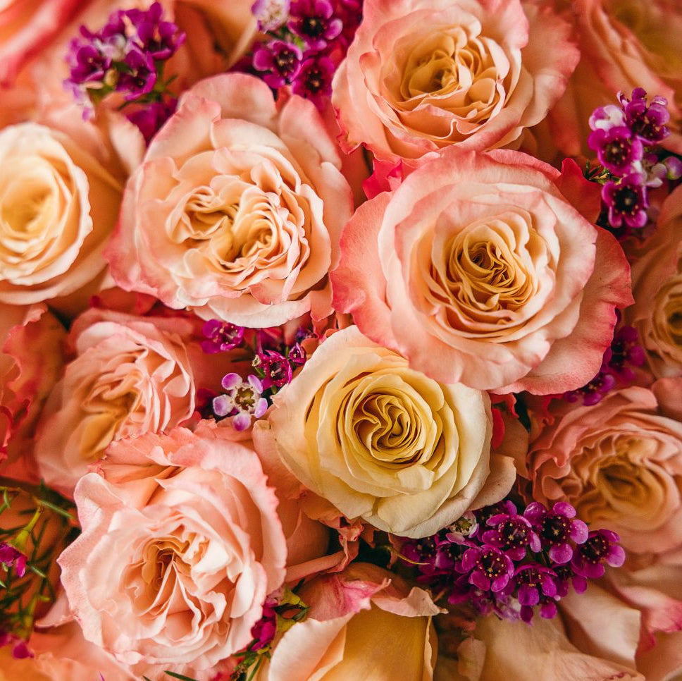 luxurious arrangement of roses in Cleveland and Columbus