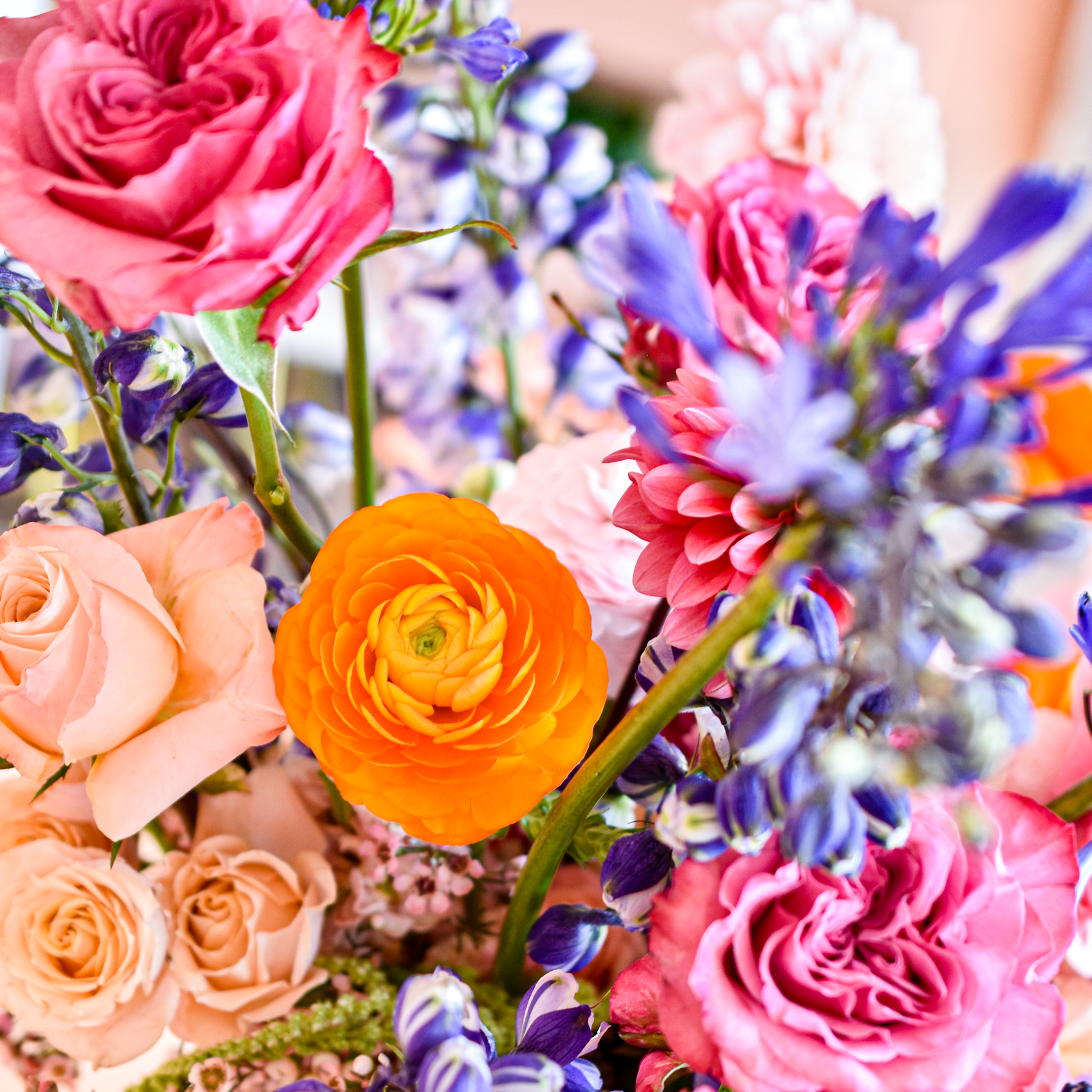 a vivid detail photo of butter colored ranunculus, pink garden roses, blue agapanthus and peach roses