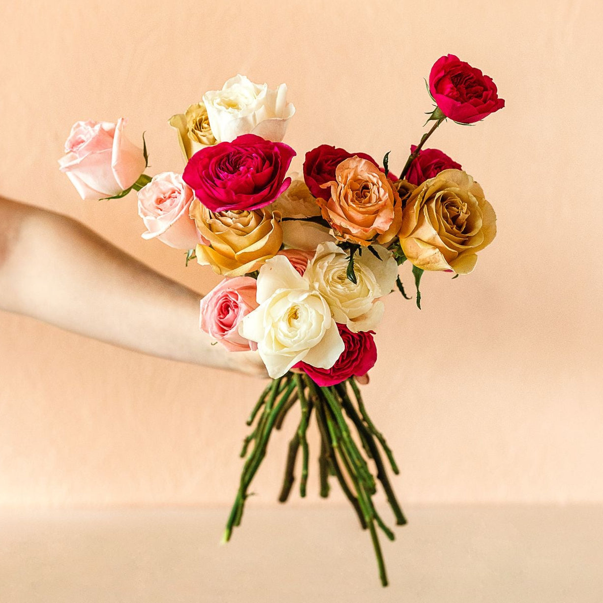 garden roses, spray roses, tea roses