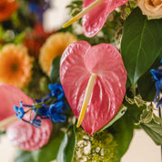colorful and vibrant tropical flowers in Cleveland