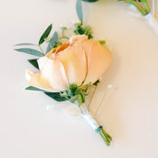 Pale peach rose with greenery