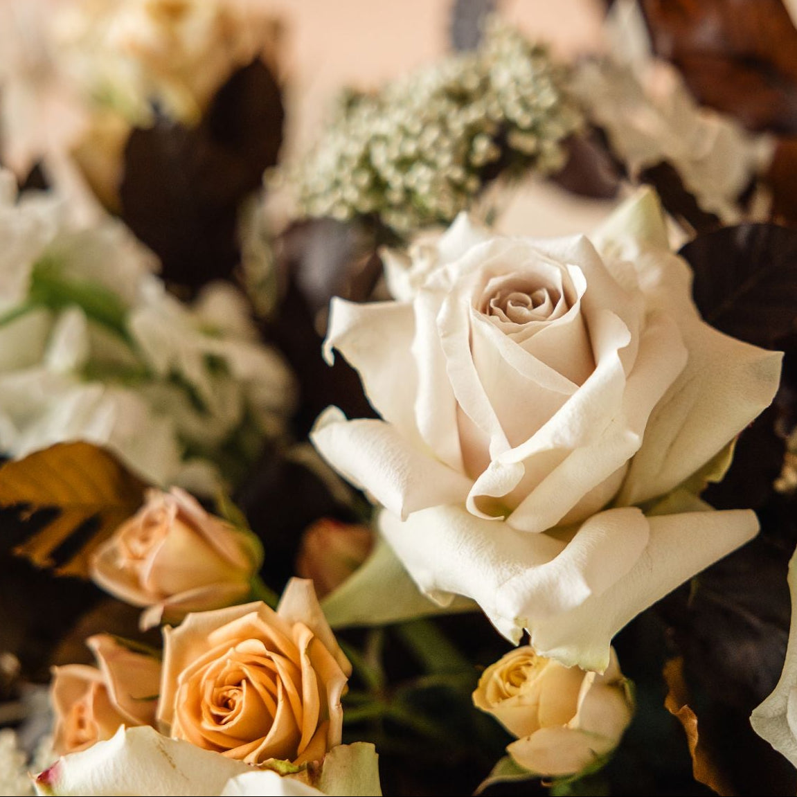 A fresh rose surrounded by spray roses, copper beach, stock and more