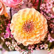 A peach and yellow dahlia for a workshops experience in Lakewood and Columbus