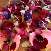 deep pinks and maroons with purples