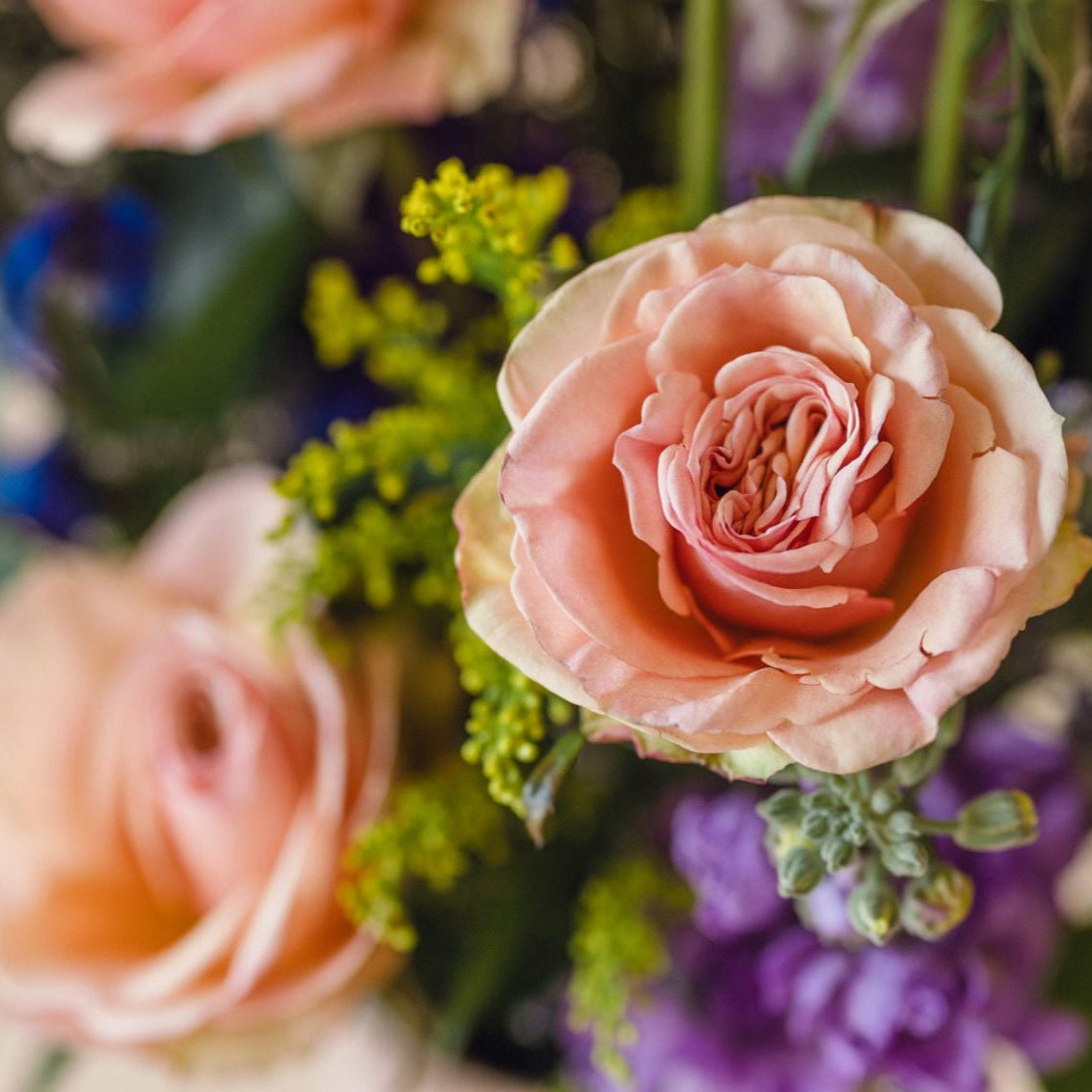 roses, solidago, stock and delphinium