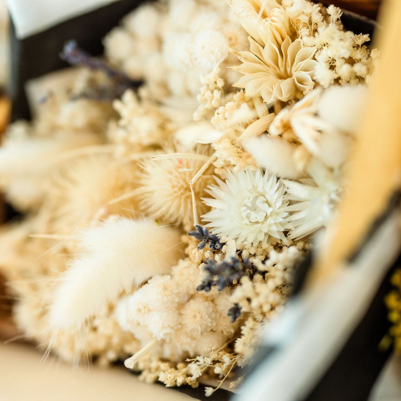 Dried flowers full of texture and detail