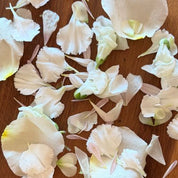 white and ivory flower petals