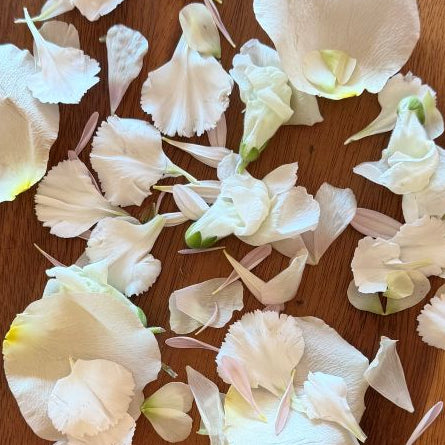 white and ivory flower petals