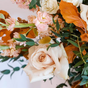 Closeup of rose with stock and fall leaves