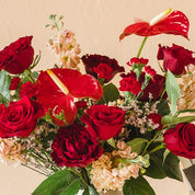 red anthurium pop in this valentine's design