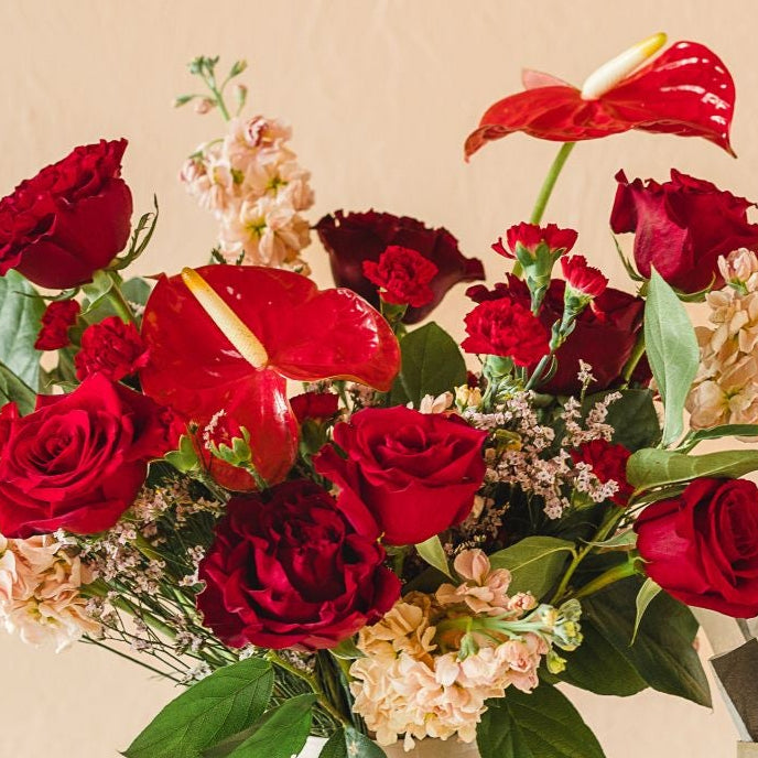 red anthurium pop in this valentine's design